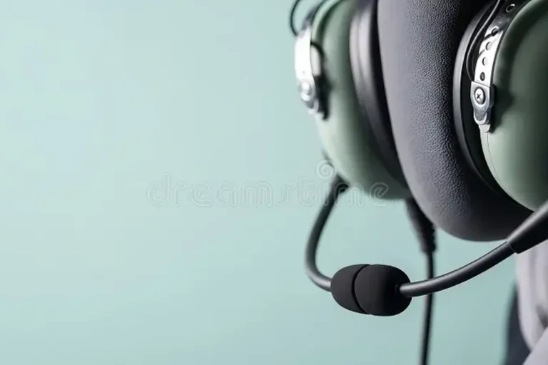 Nintendo Switch Headset with Mic